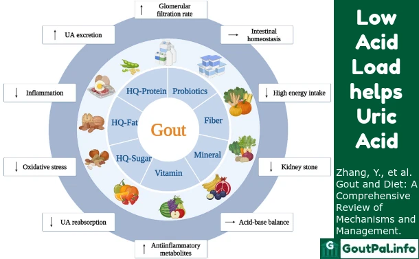 Low Acid Load helps Uric Acid