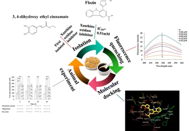 Soy Sauce Reduces Uric Acid