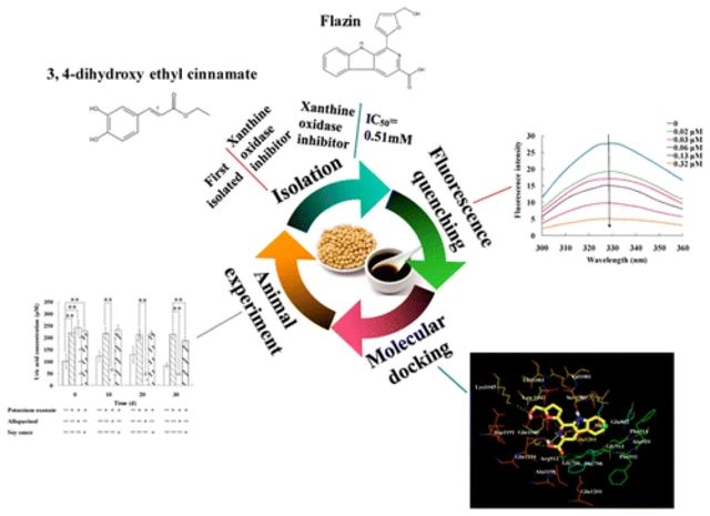 Soy Sauce Lowers Uric Acid