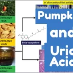 Pumpkin, Squash, and Uric Acid Research